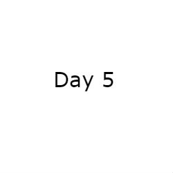 Prep 6 – Day 5 – Afternoon