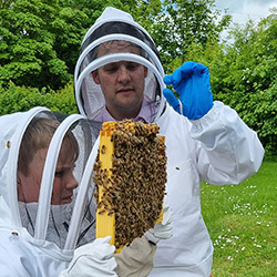 Another fascinating session with our bees
