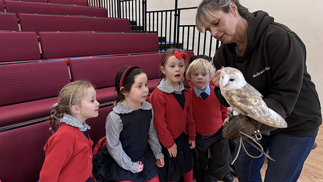 Magical Owl Visit for Reception Pupils